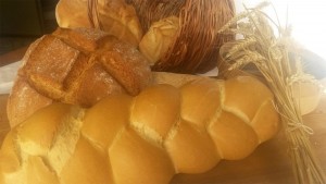 Pane Tradizionale Panificio Campari, pane comune, pane di patate, pane piuma, pane treccia